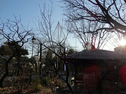 Sumidagawa-Shitifukujin-Photo-12