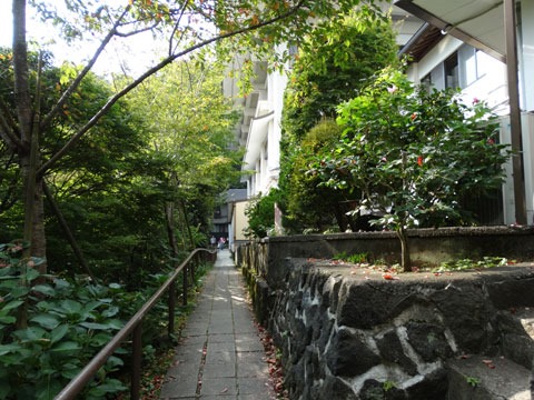 Mount-Takao-and-Yakuouin-12