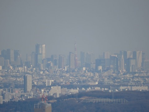 Mount-Takao-and-Yakuouin-17