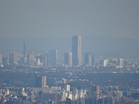 Mount-Takao-and-Yakuouin-18